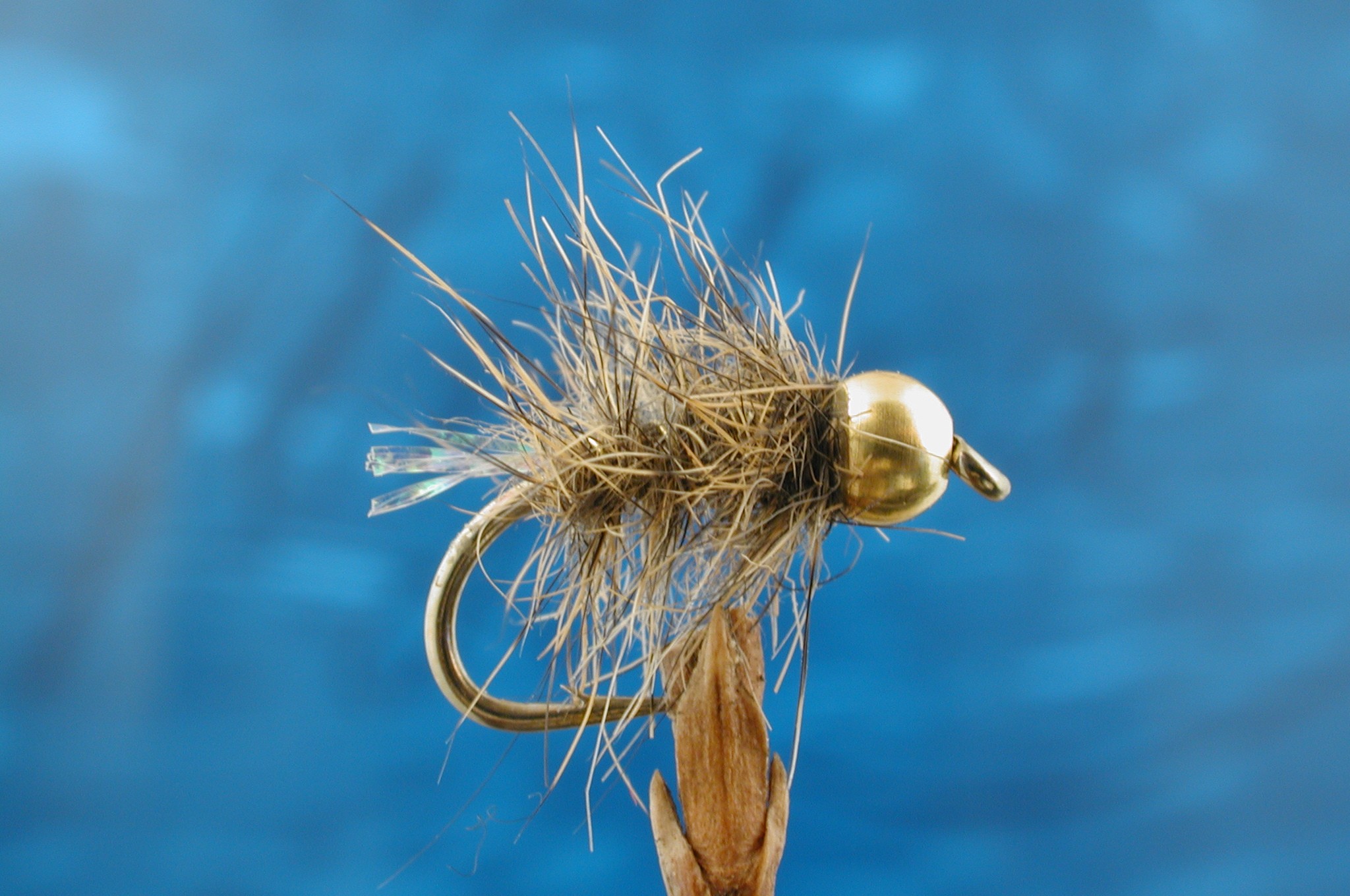 Chatsworth Bug Fly Fishing Flies with Fish4Flies Worldwide